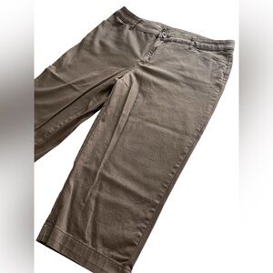 NWOT Brown Khaki St. John's Bay Secretly Slender Womens Capri